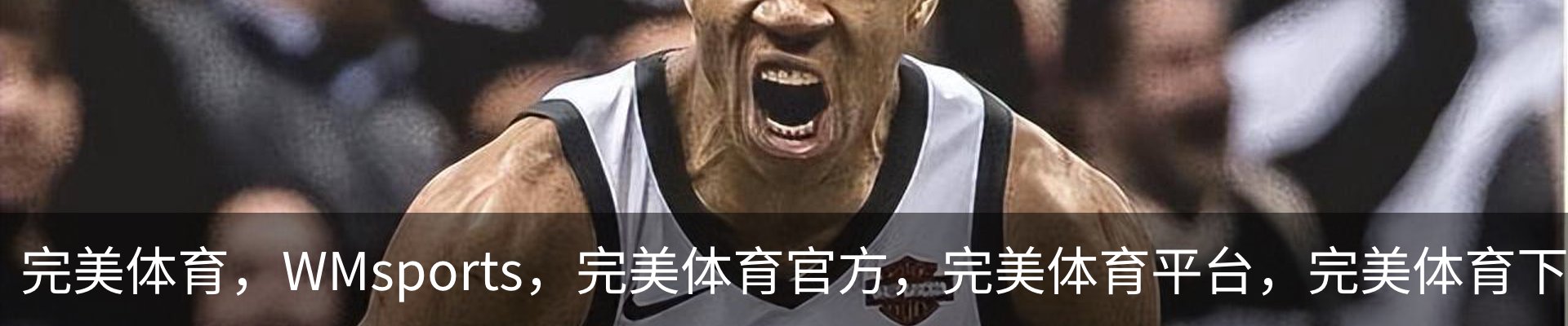 完美体育，WMsports，完美体育官方，完美体育平台，完美体育下载